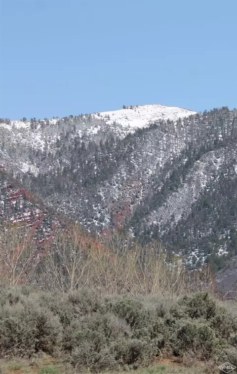 1900 Castle Peak Ranch Rd, Eagle, CO 81631 photo 6