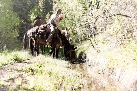 4200 Salt Creek Rd, Eagle, CO 81631 photo 21