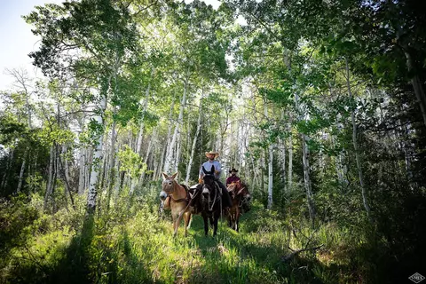 4200 Salt Creek Rd, Eagle, CO 81631 photo 24