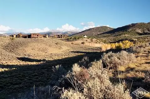 176 N Penstemon Ln, Eagle, CO 81631 photo 2