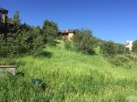 216 Daisy Ln, Avon, CO 81657 photo 3