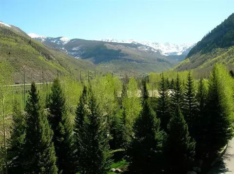 1650 Fallridge Rd #411, Vail, CO 81657 photo 11