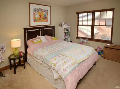 305 Palmer Loop, Eagle, CO 81631 photo 20