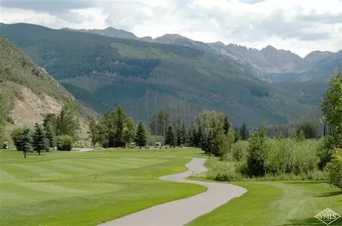 1650 Fallridge Rd #101, Vail, CO 81657 photo 3