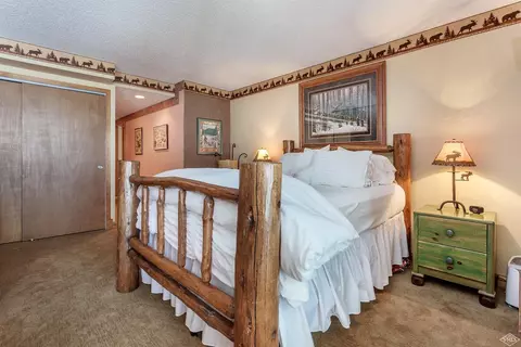 1650 Fallridge Rd #101, Vail, CO 81657 photo 12