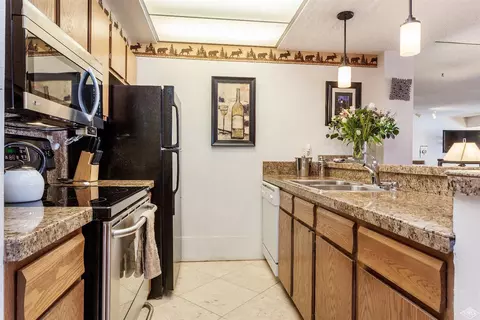1650 Fallridge Rd #101, Vail, CO 81657 photo 7