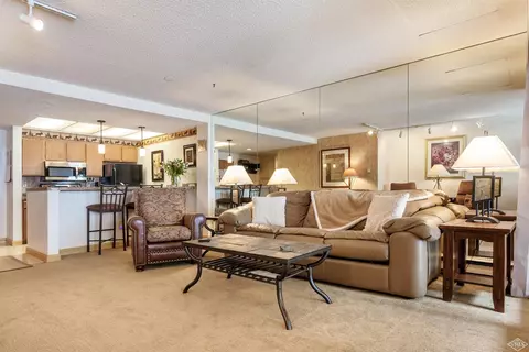 1650 Fallridge Rd #101, Vail, CO 81657 photo 5