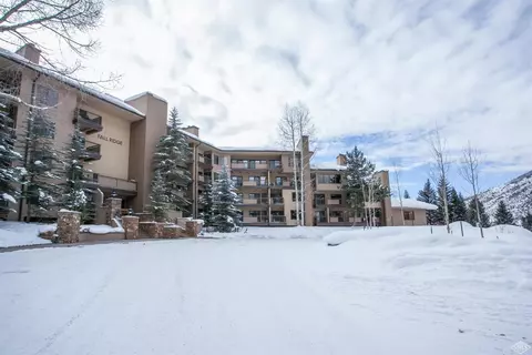 1650 Fallridge Rd #101, Vail, CO 81657 photo 24