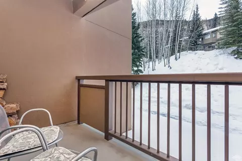1650 Fallridge Rd #101, Vail, CO 81657 photo 19