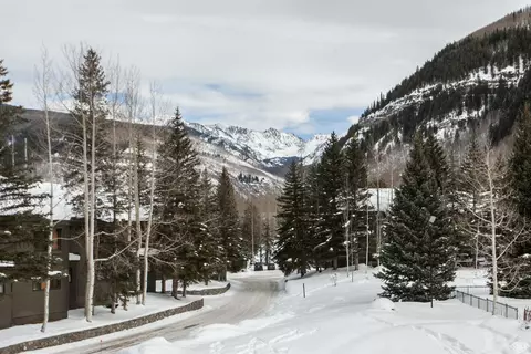 1650 Fallridge Rd #101, Vail, CO 81657 photo 23