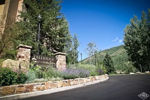 1650 Fallridge Rd #101, Vail, CO 81657 photo 2