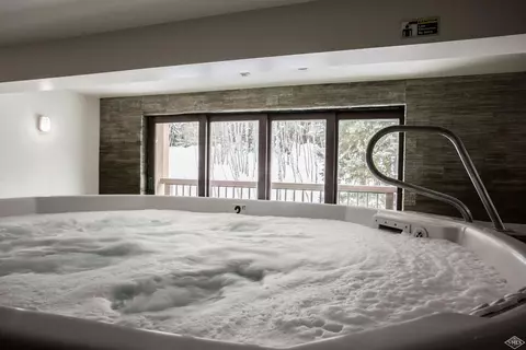 1650 Fallridge Rd #101, Vail, CO 81657 photo 21