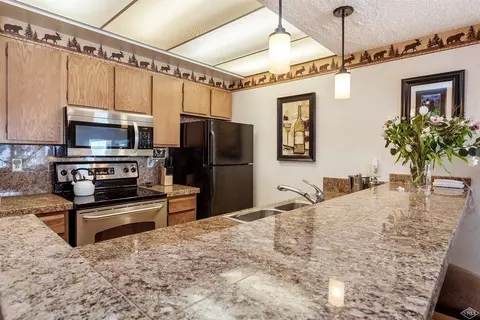 1650 Fallridge Rd #101, Vail, CO 81657 photo 6