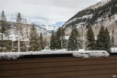 1650 Fallridge Rd #101, Vail, CO 81657 photo 20