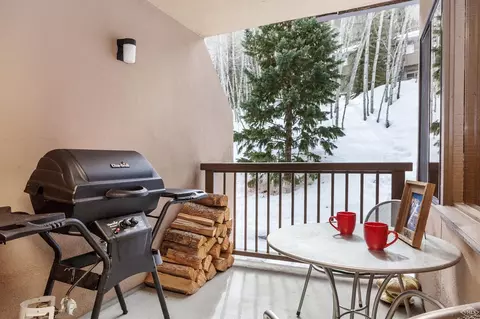 1650 Fallridge Rd #101, Vail, CO 81657 photo 16
