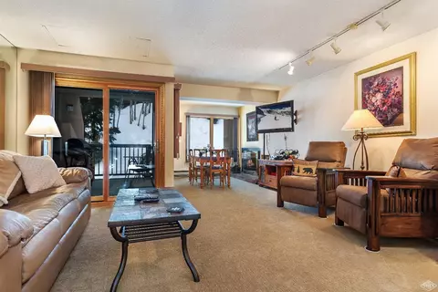 1650 Fallridge Rd #101, Vail, CO 81657 photo 9