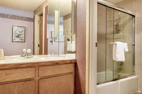 1650 Fallridge Rd #101, Vail, CO 81657 photo 14