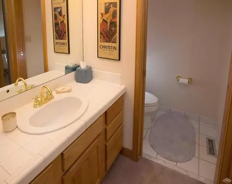 1450 Lions Ridge Loop, Vail, CO 81657 photo 20