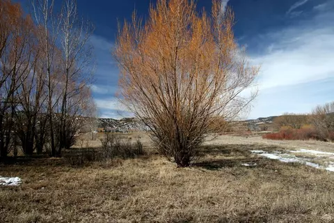 333 Robins Egg Ln, Eagle, CO 81631 photo 3
