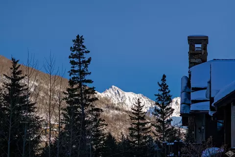 645 Forest Rd, Vail, CO 81657 photo 21