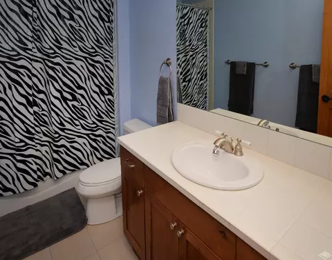 121 Harrier Cir, Eagle, CO 81631 photo 22