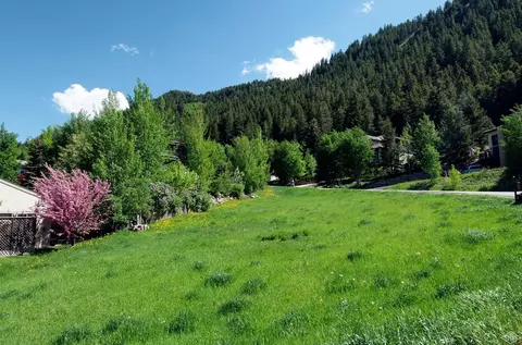 1429 Deer Blvd, Avon, CO 81620 photo 2