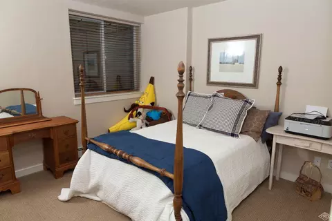 46 Macdonald St, Eagle, CO 81631 photo 19