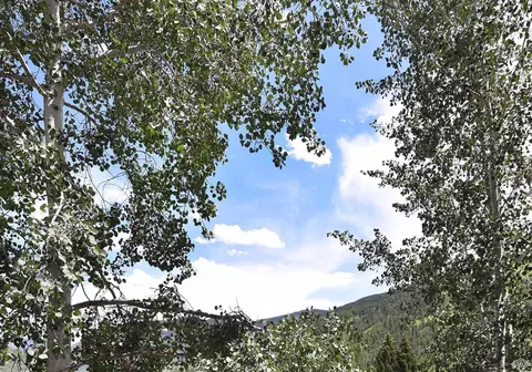 1081 Vail View Dr #B211, Vail, CO 81657 photo 15