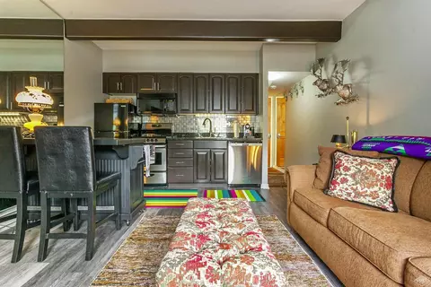 508 E Lionshead Cir #114, Vail, CO 81657 photo 5