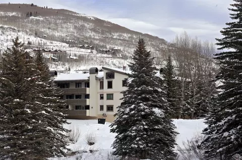 22 W Meadow Dr #355, Vail, CO 81657 photo 17