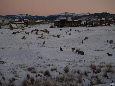 260 Abrams Creek Rd, Eagle, CO 81631 photo 25