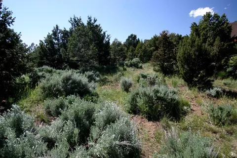 615 Neilson Gulch Rd, Eagle, CO 81631 photo 2