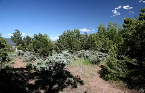 615 Neilson Gulch Rd, Eagle, CO 81631 photo 5
