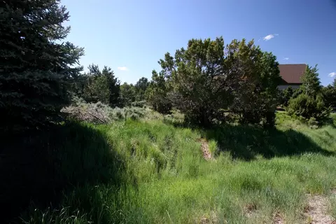 615 Neilson Gulch Rd, Eagle, CO 81631 photo 10