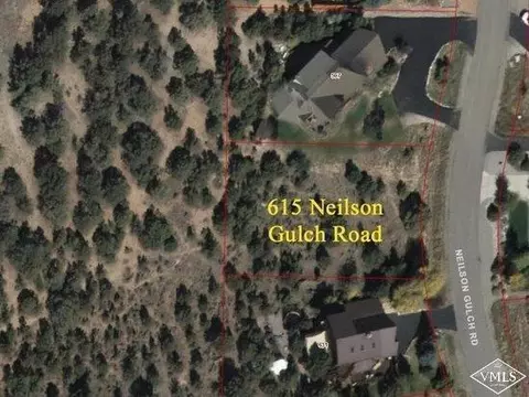 615 Neilson Gulch Rd, Eagle, CO 81631 photo 1