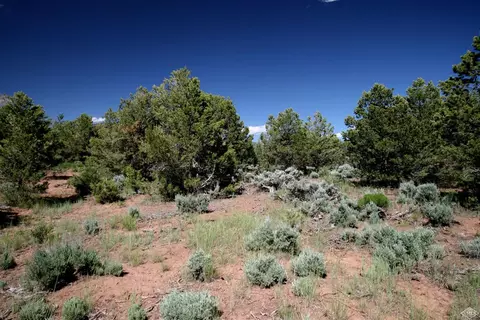 615 Neilson Gulch Rd, Eagle, CO 81631 photo 4