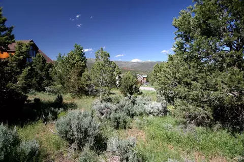 615 Neilson Gulch Rd, Eagle, CO 81631 photo 3