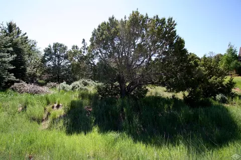 615 Neilson Gulch Rd, Eagle, CO 81631 photo 9