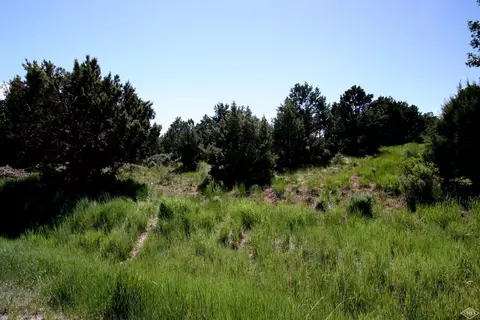 615 Neilson Gulch Rd, Eagle, CO 81631 photo 8