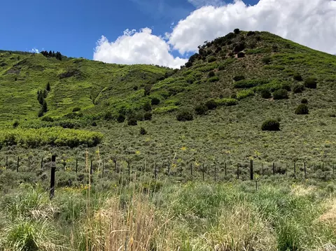 193 Methany Way, Eagle, CO 81631 photo 5