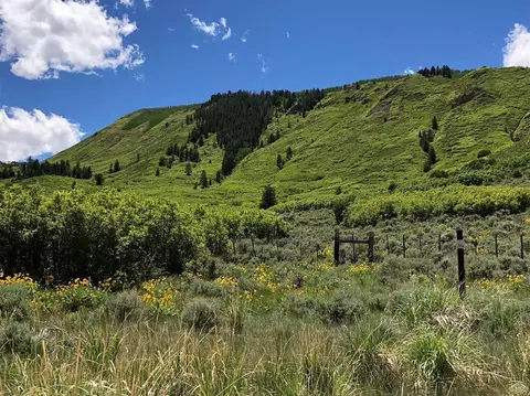 193 Methany Way, Eagle, CO 81631 photo 7