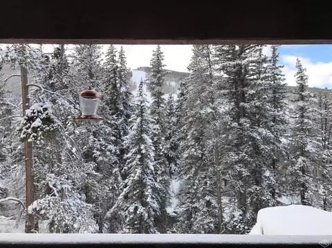 442 S Frontage Rd E #103B, Vail, CO 81657 photo 25