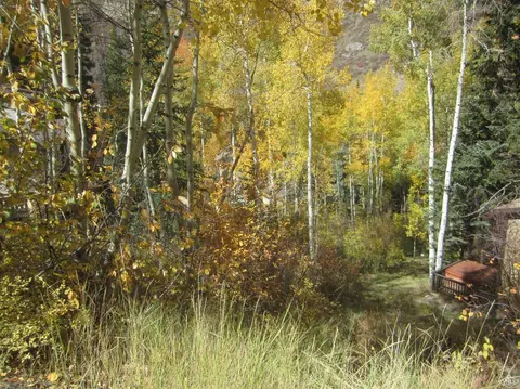 2841 Basingdale Blvd, Vail, CO 81657 photo 11