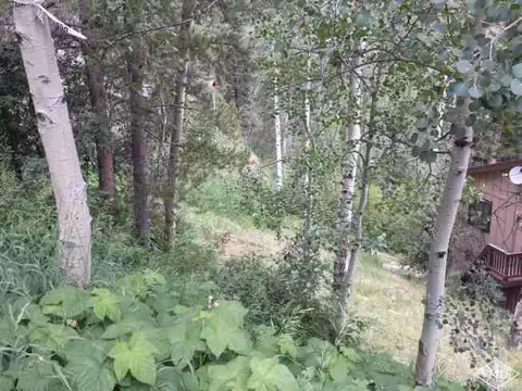 2841 Basingdale Blvd, Vail, CO 81657 photo 14