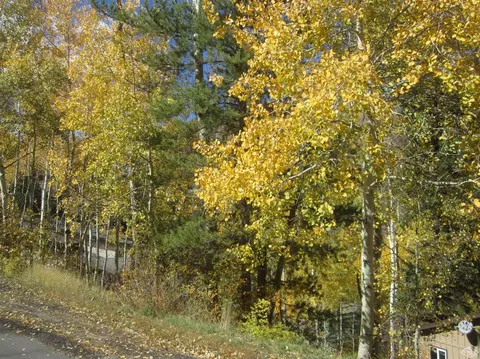2841 Basingdale Blvd, Vail, CO 81657 photo 10