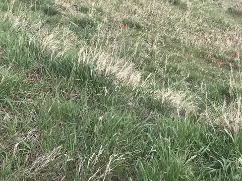 755 Charolais Cir, Edwards, CO 81632 photo 5