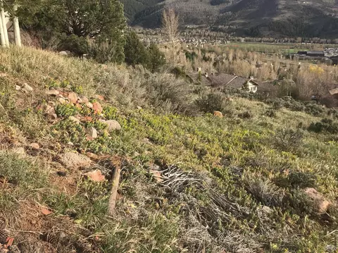 755 Charolais Cir, Edwards, CO 81632 photo 17
