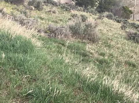 755 Charolais Cir, Edwards, CO 81632 photo 8