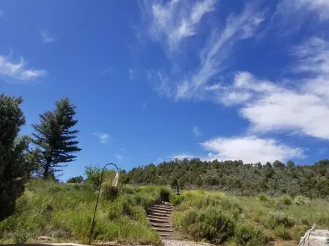 113 Abrams Creek Dr, Eagle, CO 81631 photo 8