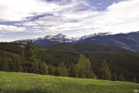 1 Vail Rd #8104, Vail, CO 81657 photo 18